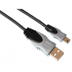 FICHE A VERS MINI USB FICHE B / PROFESSIONNEL / 5.0m