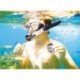 GENIUS - LIFE-SHOT FHD300 MINI CAMERA WIFI