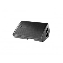 12 STAGE MONITOR. 500W 100W RMS - LOW PROFILE