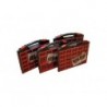 TAYG - BOITE DE RANGEMENT - 430 x 370 x 85 mm - 13 COMPARTIMENTS AMOVIBLES