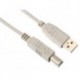 CABLE USB 2.0 - FICHE TYPE A VERS USB TYPE B / CUIVRE / DE BASE / 1.8 m / DORE / M-M