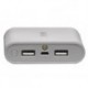 PBA-10001 - POWER BANK - 3.7 V - 10000 mAh