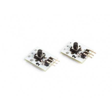  module bouton-poussoir (2 pcs) wpse310
